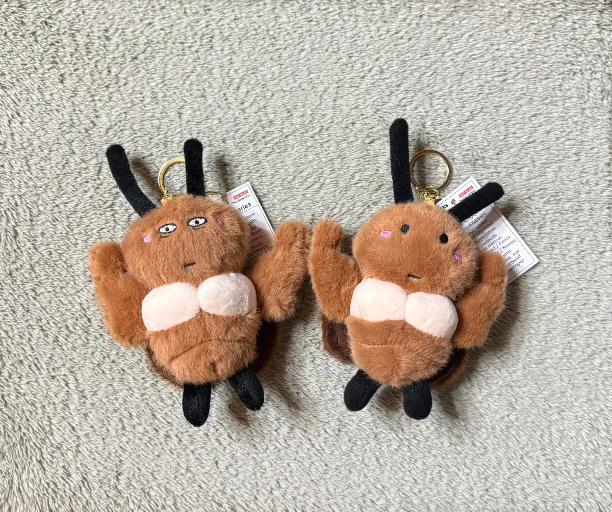 (세트) 바퀴벌레 인형 키링 바선생 커플 몸짱 근육 헬창 일괄