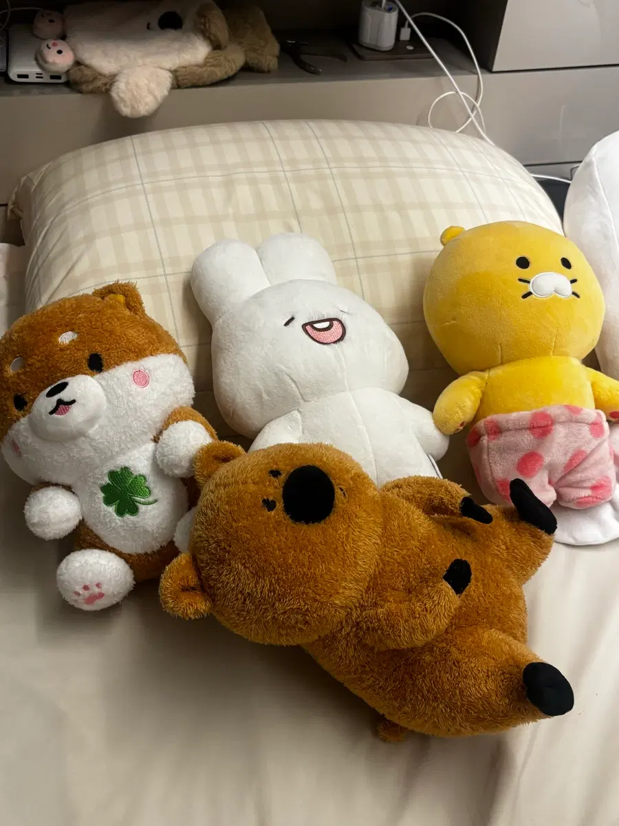 인형 판매합니다