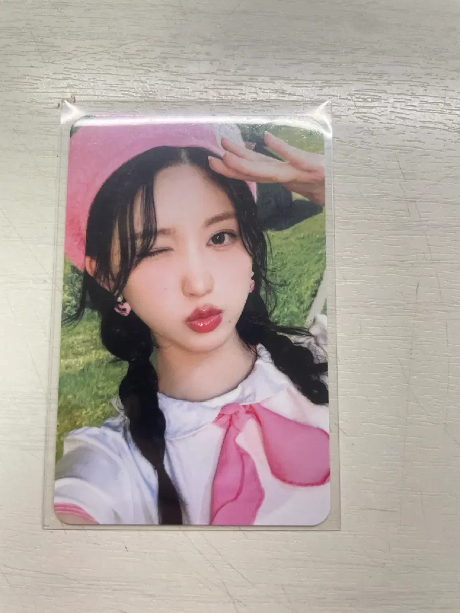 다이브3기 팬클럽 가을