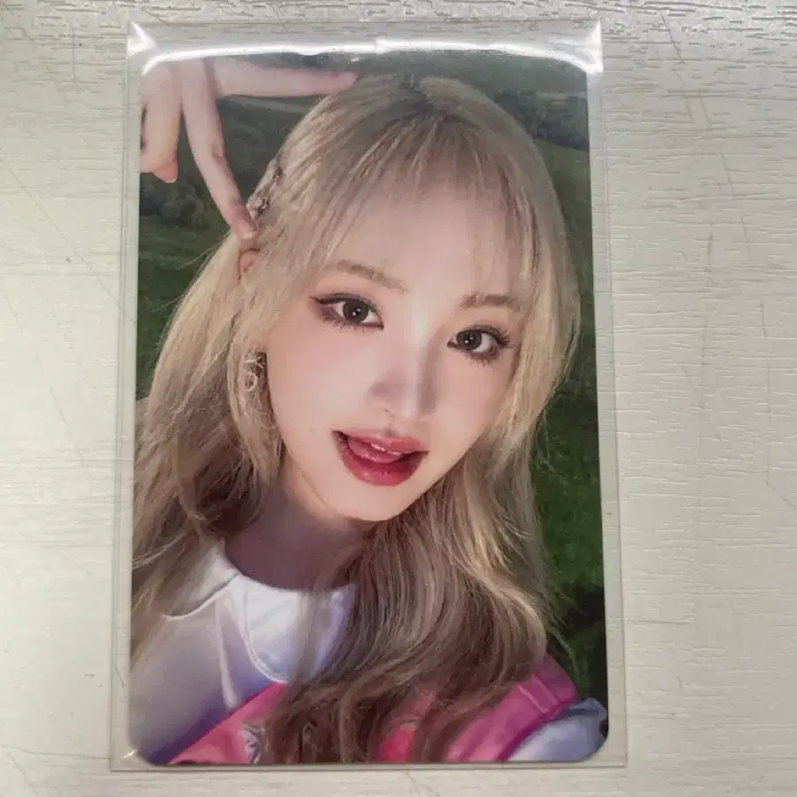 다이브3기 팬클럽 리즈