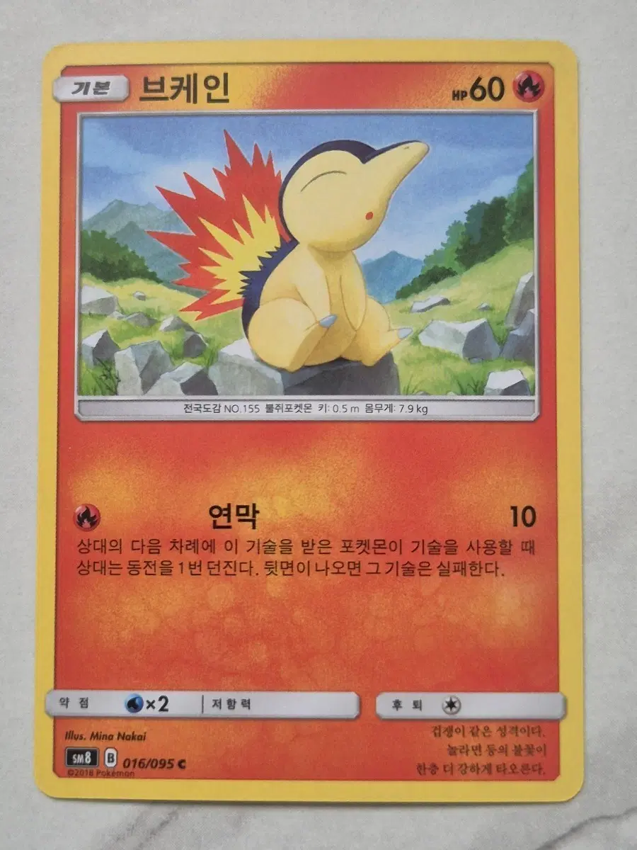 두. 포켓몬카드 브케인 sm8 C