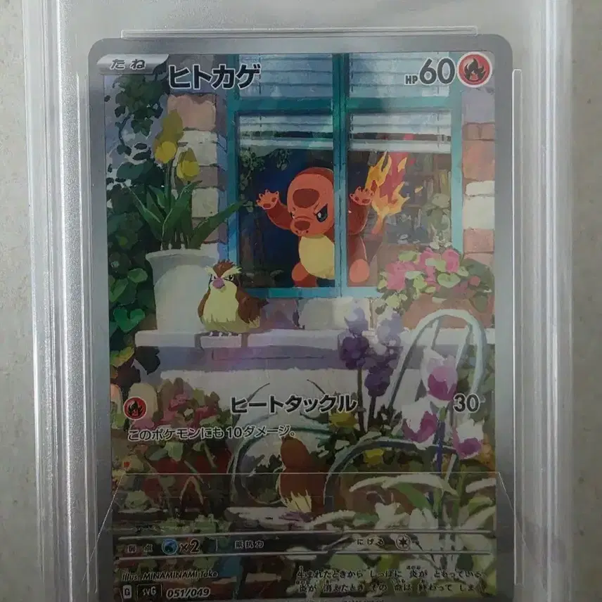 포켓몬카드 스페셜덱 창문파이리 PSA 10
