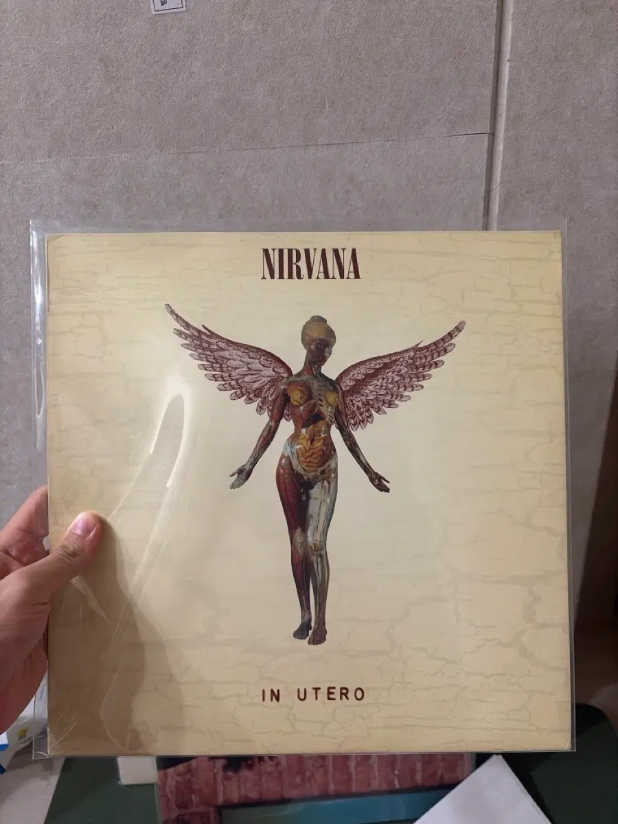 너바나 in utero LP 유럽 초판