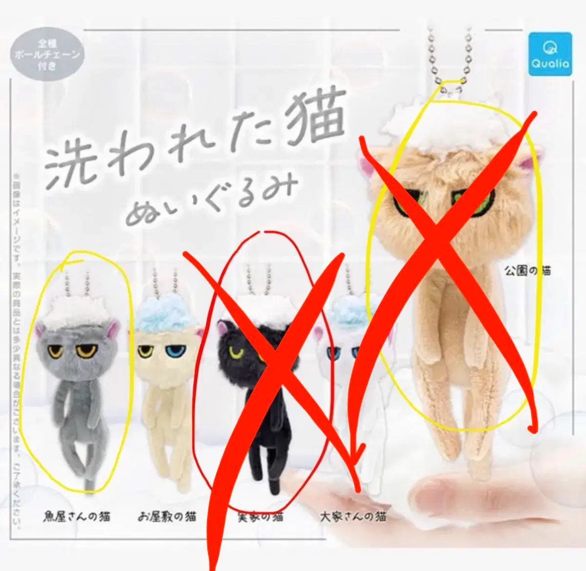 씻긴 고양이 목욕당한 고양이 가챠 (교환가능)