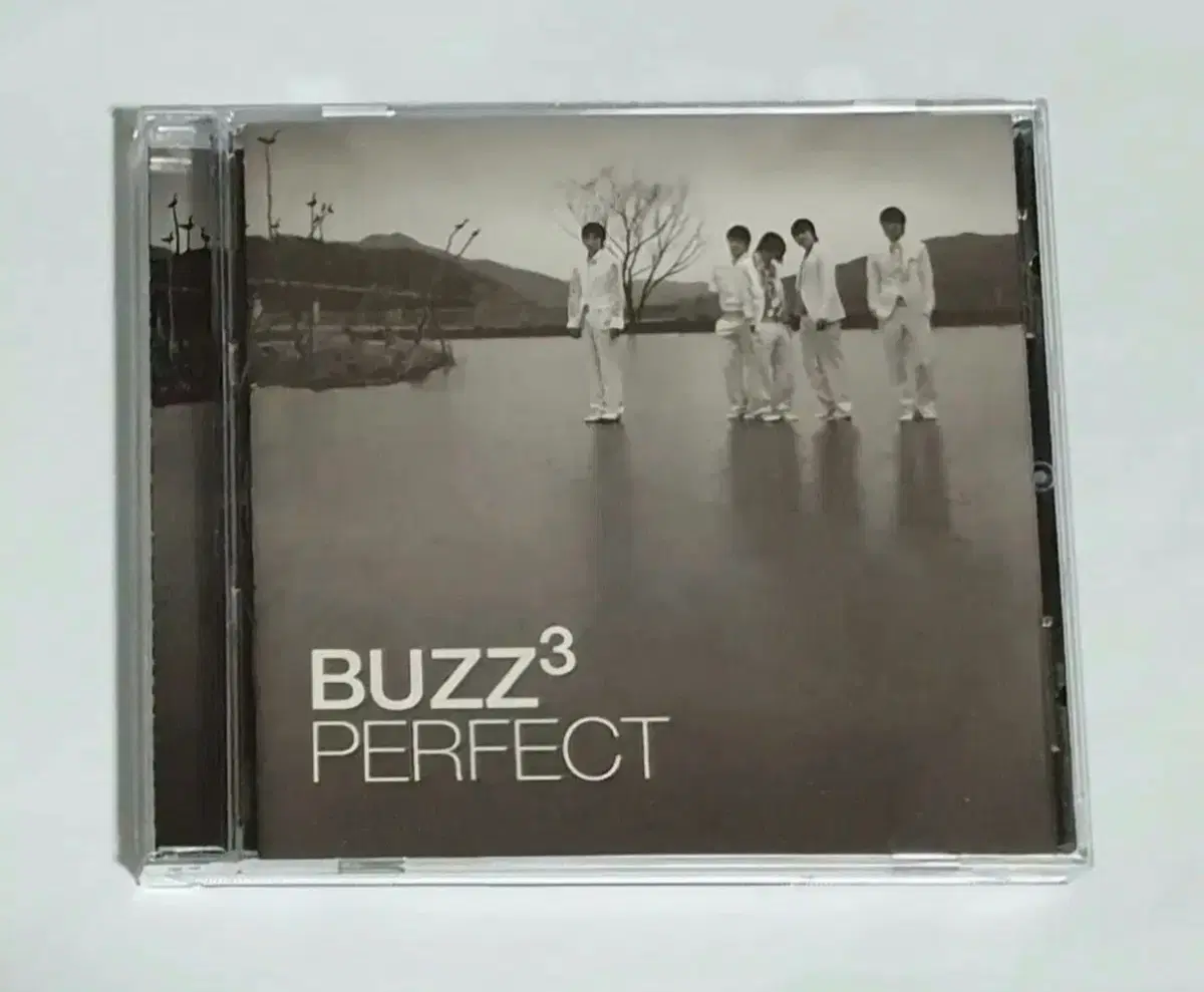 버즈 3집 Buzz Perfect 앨범 시디 CD