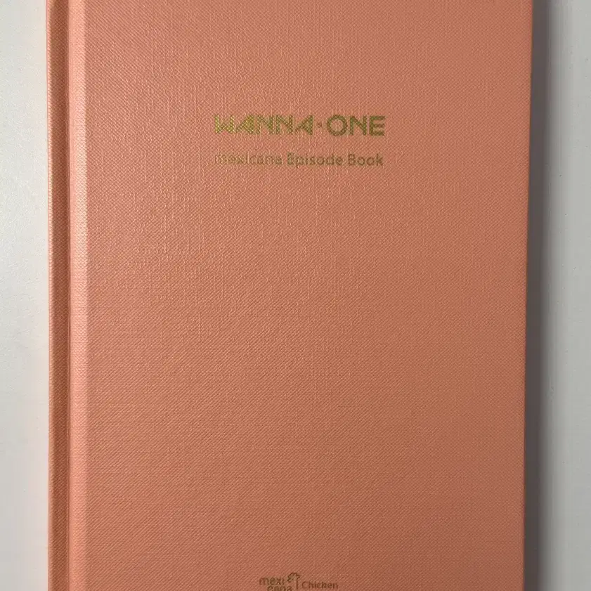 워너원 멕시카나 에피소드북