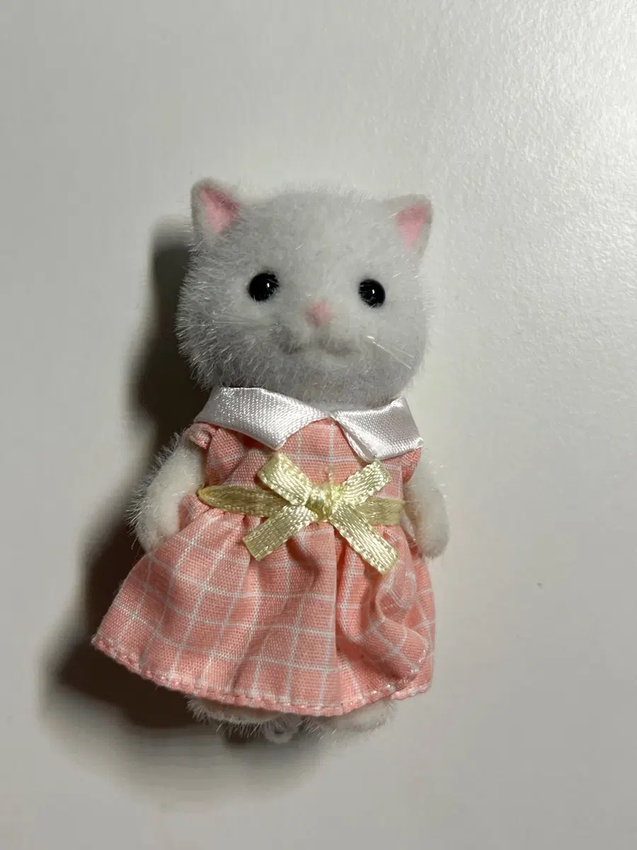 실바니안 패밀리 페르시안 고양이 옷