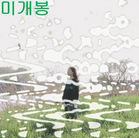 최미루 (meeroo choi) - nEwCHAt (미개봉, CD)
