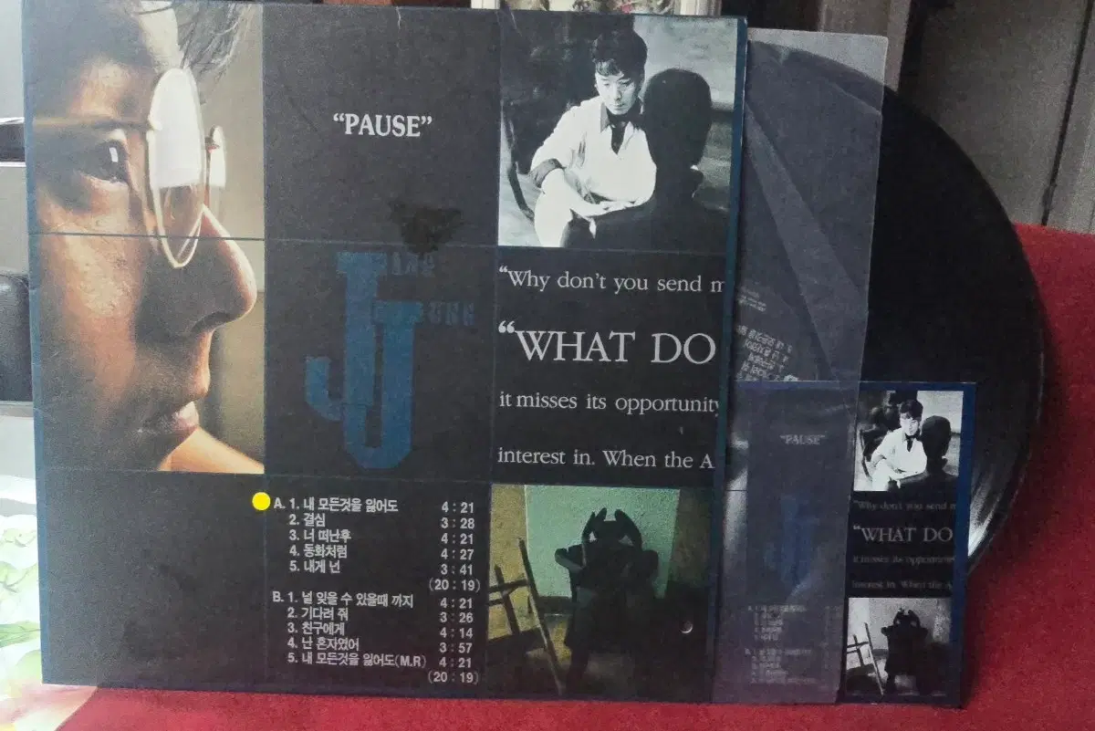 장정의 PAUSE_국내 LP