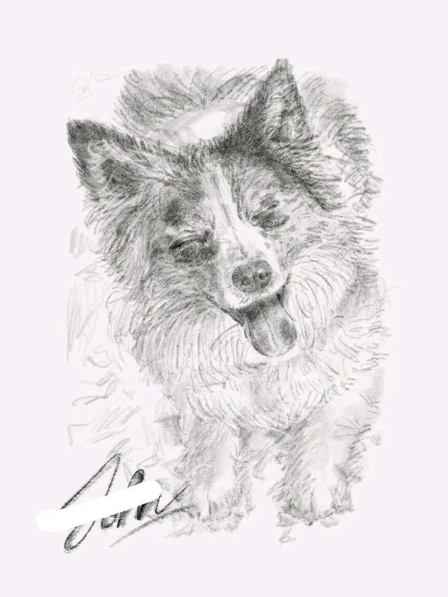 반려동물 그림 커미션