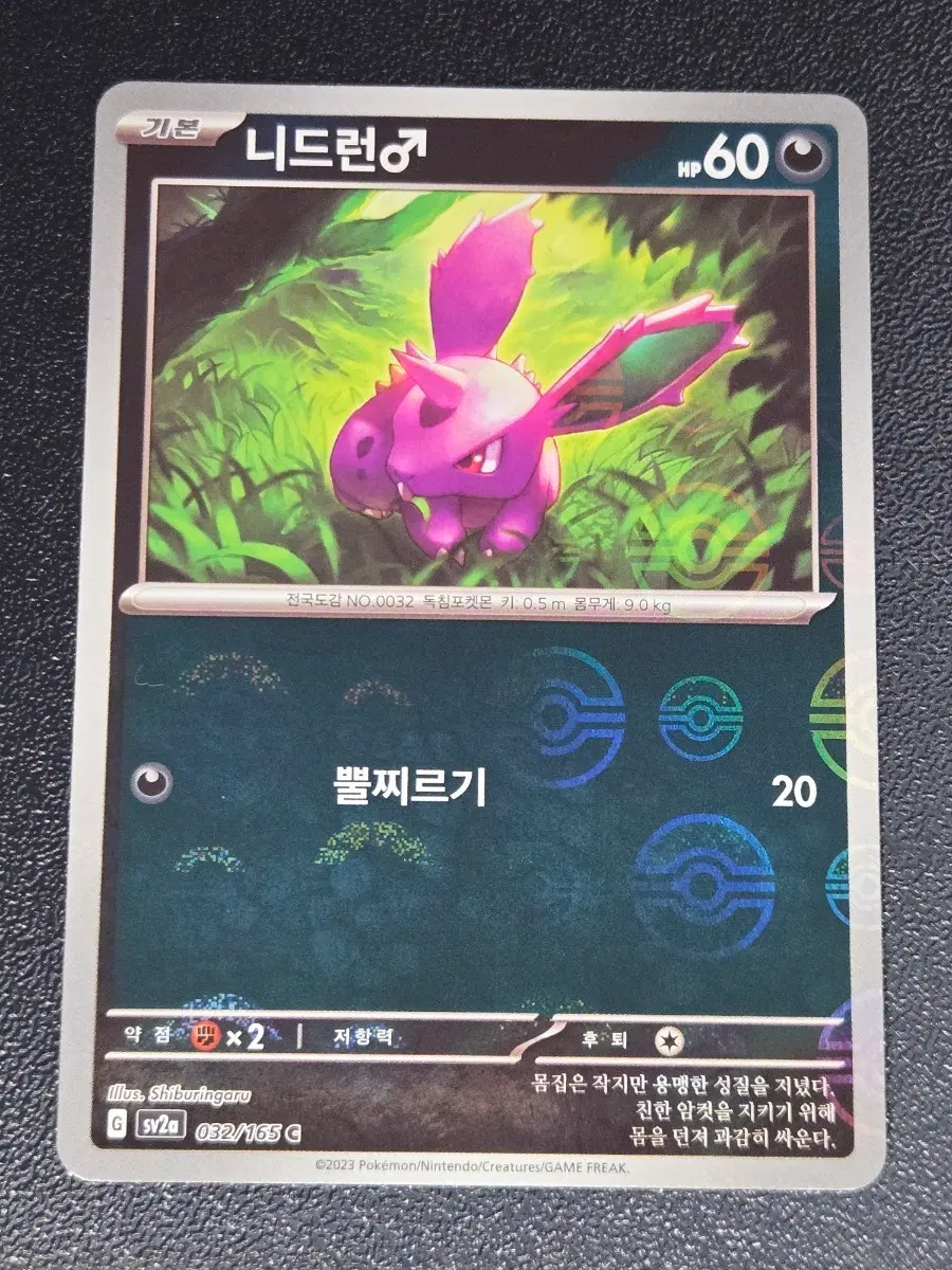 151 니드런 몬스터볼 홀로