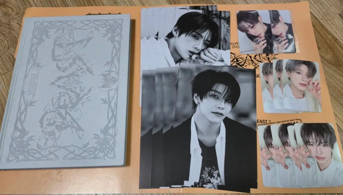 알디원 ald1 2nd 앨범 Fragile Beast Ver.