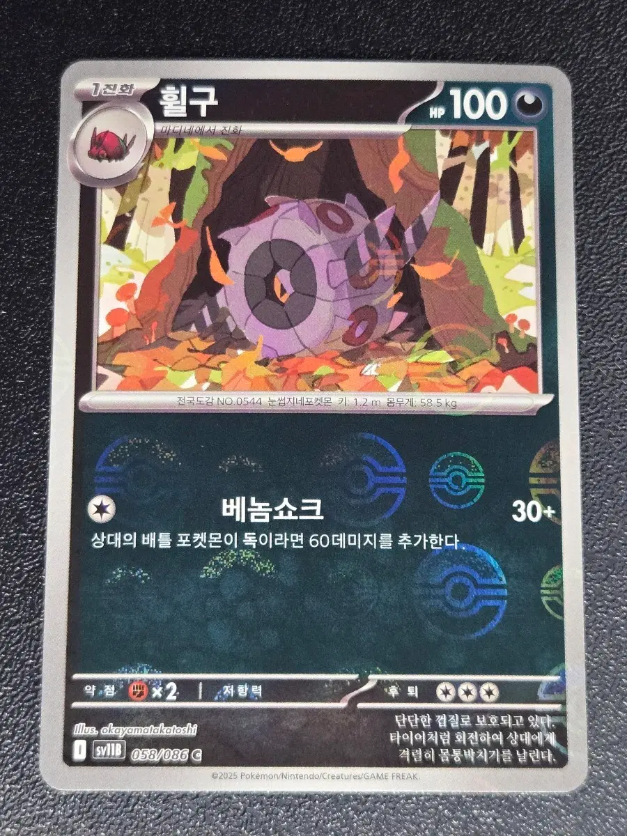 휠구 몬스터볼 홀로