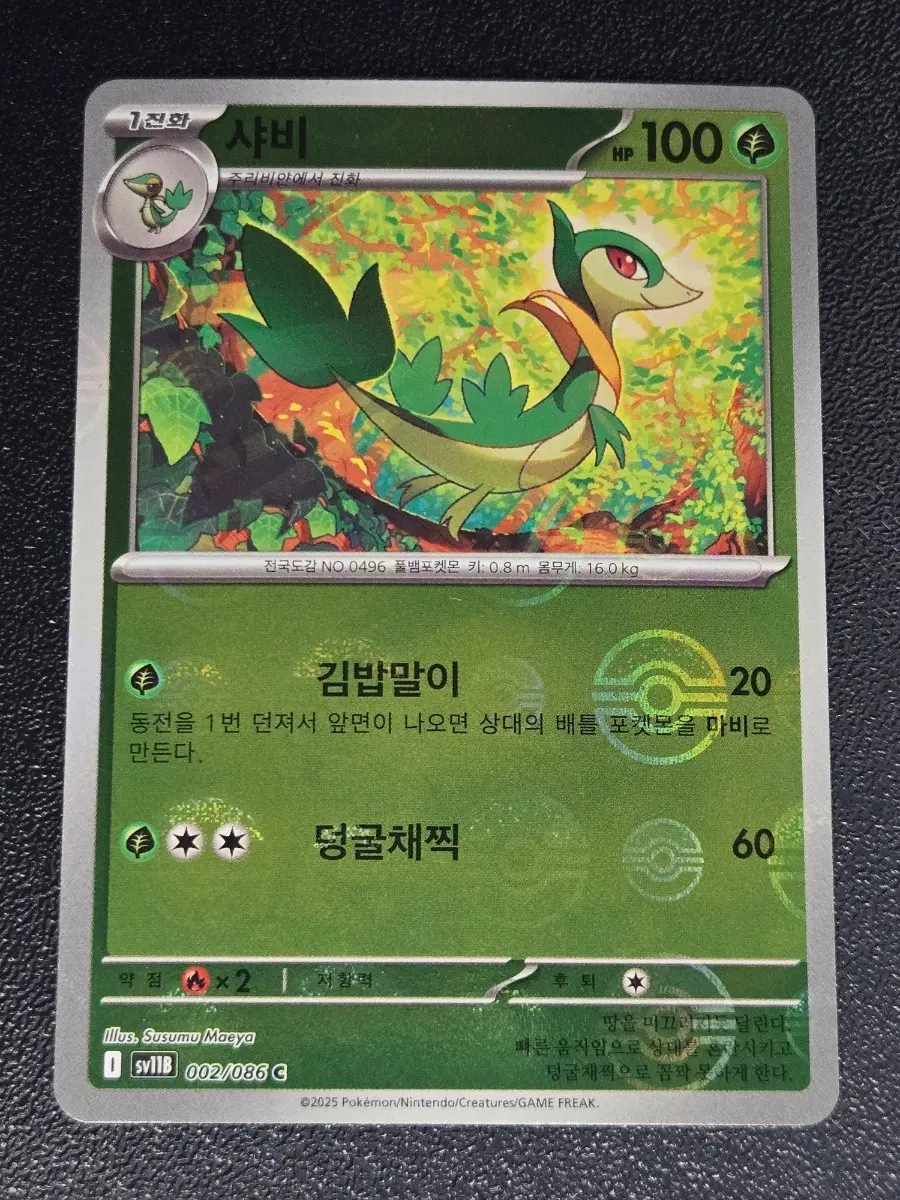 샤비 몬스터볼 홀로