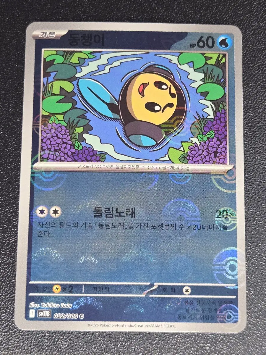 동챙이 몬스터볼 홀로