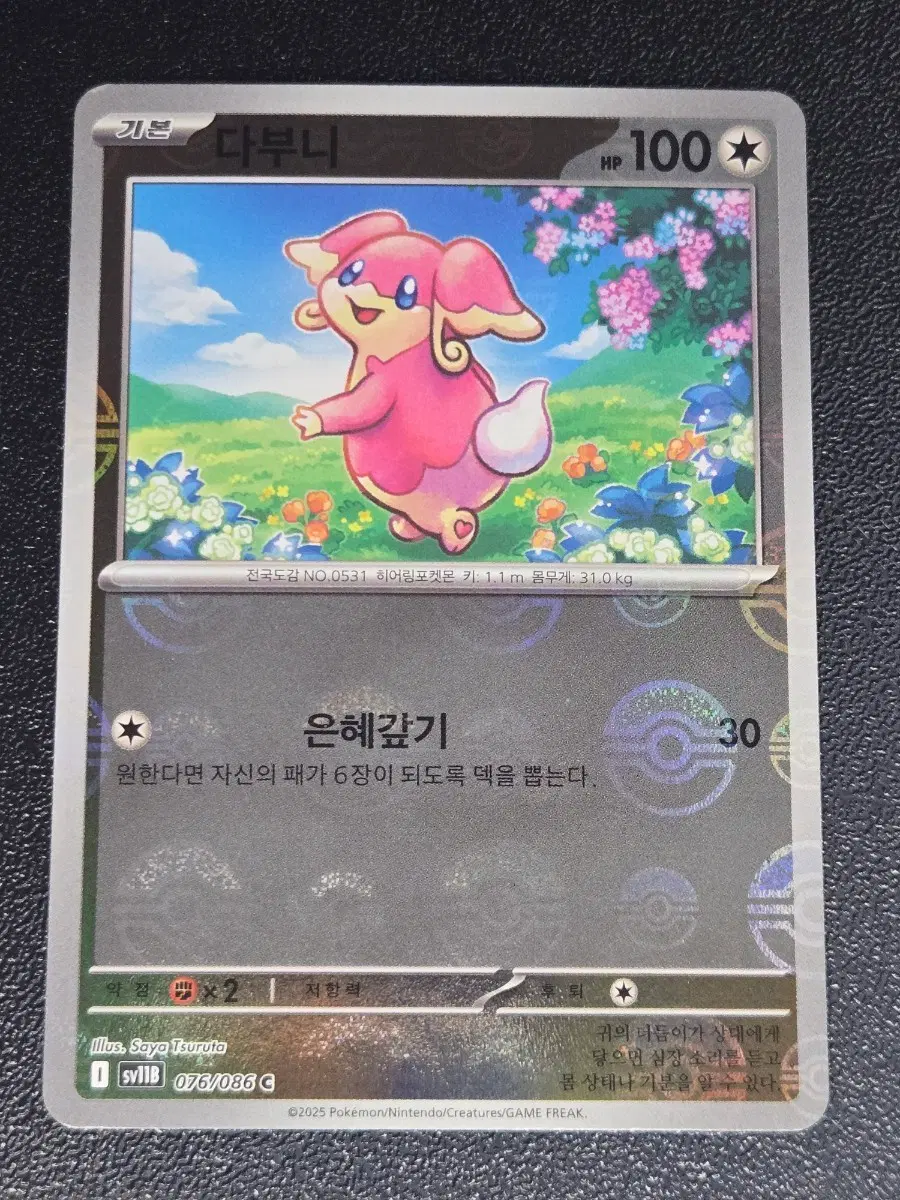 다부니 몬스터볼 홀로