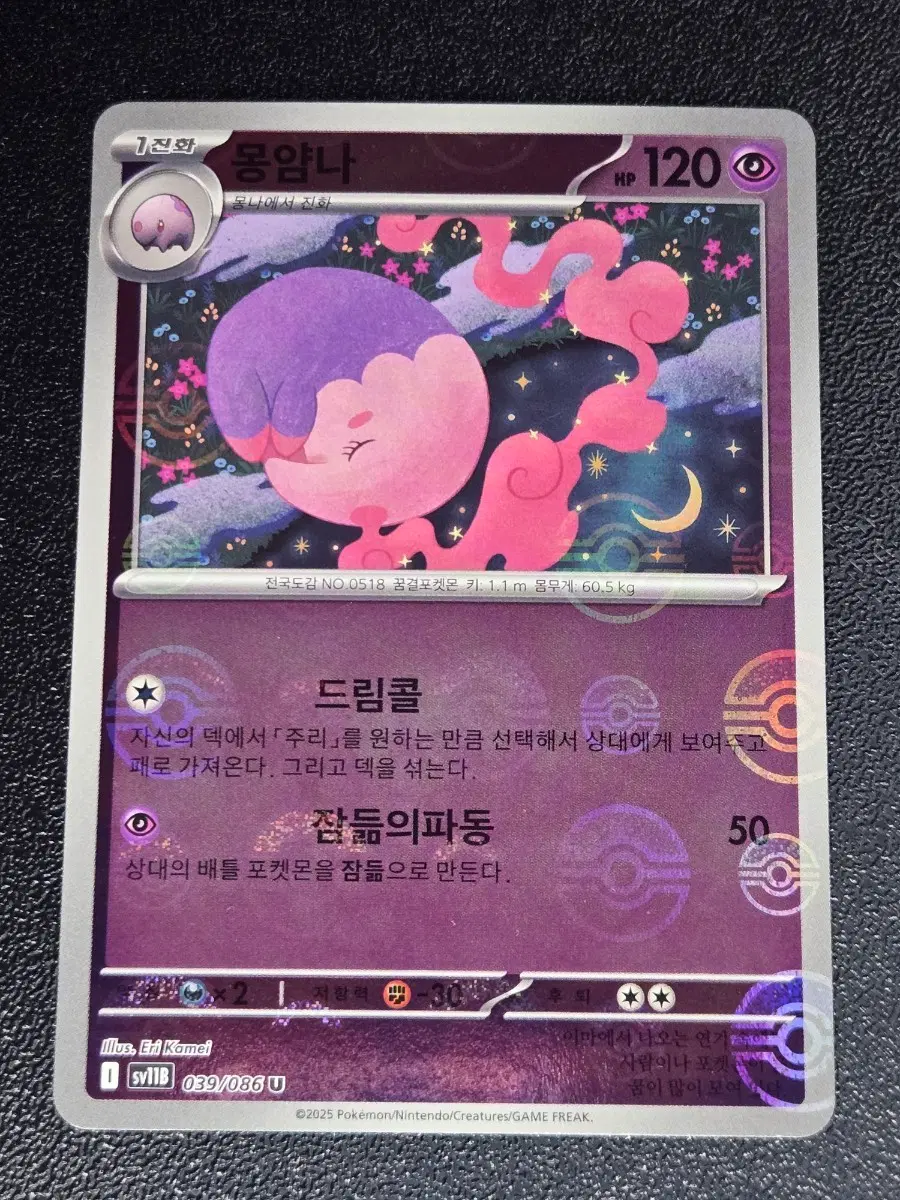몽얌나 몬스터볼 홀로