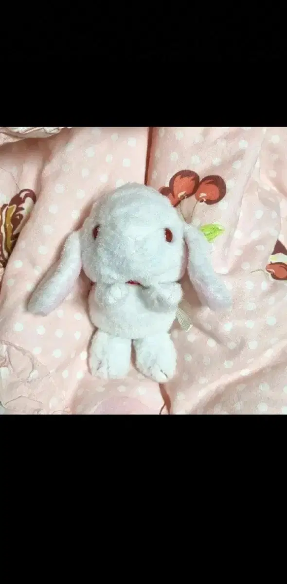 어뮤즈 포테우사 롯삐 리본 인형 키링 빈티지인형 고전 토끼인형