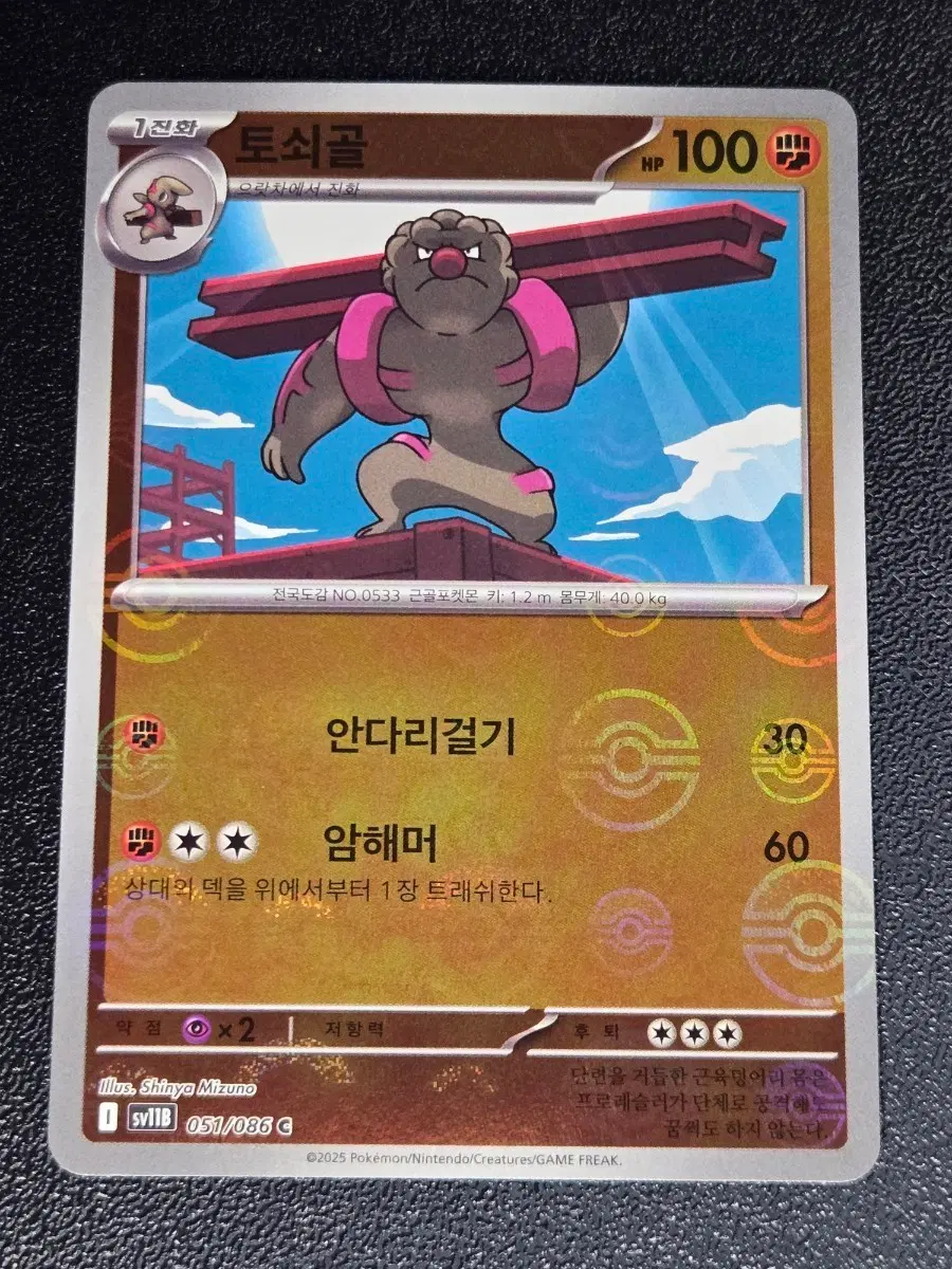 토쇠골 몬스터볼 홀로