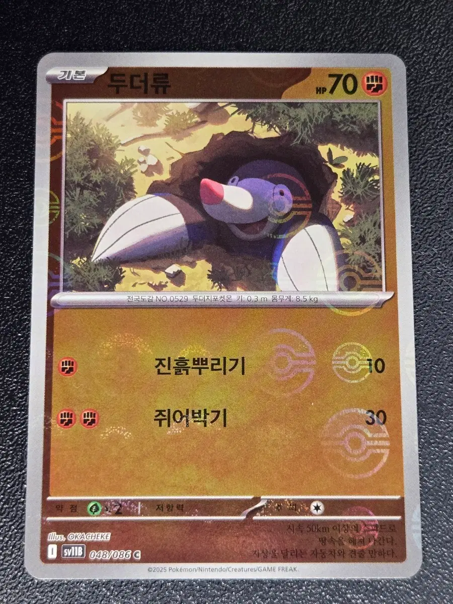 두더류 몬스터볼 홀로