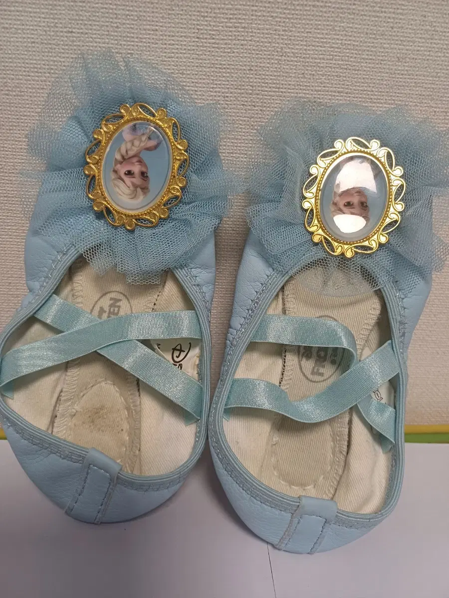 엘사 발레슈즈 170