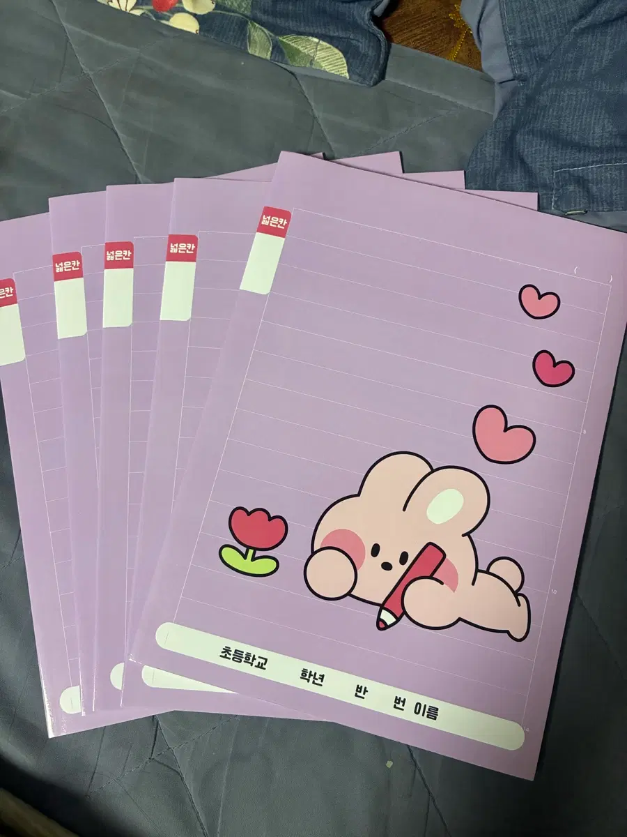 줄 넓은 공책