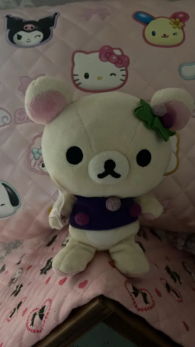 포도 코리락쿠마