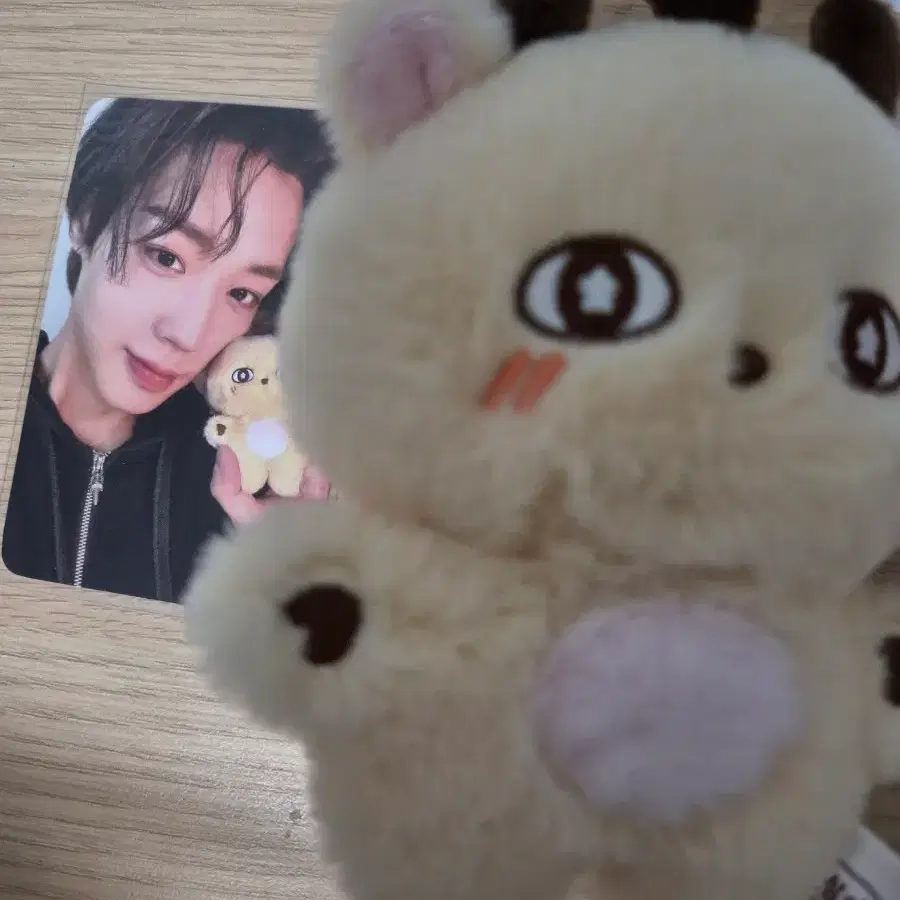 소심이 박지훈
