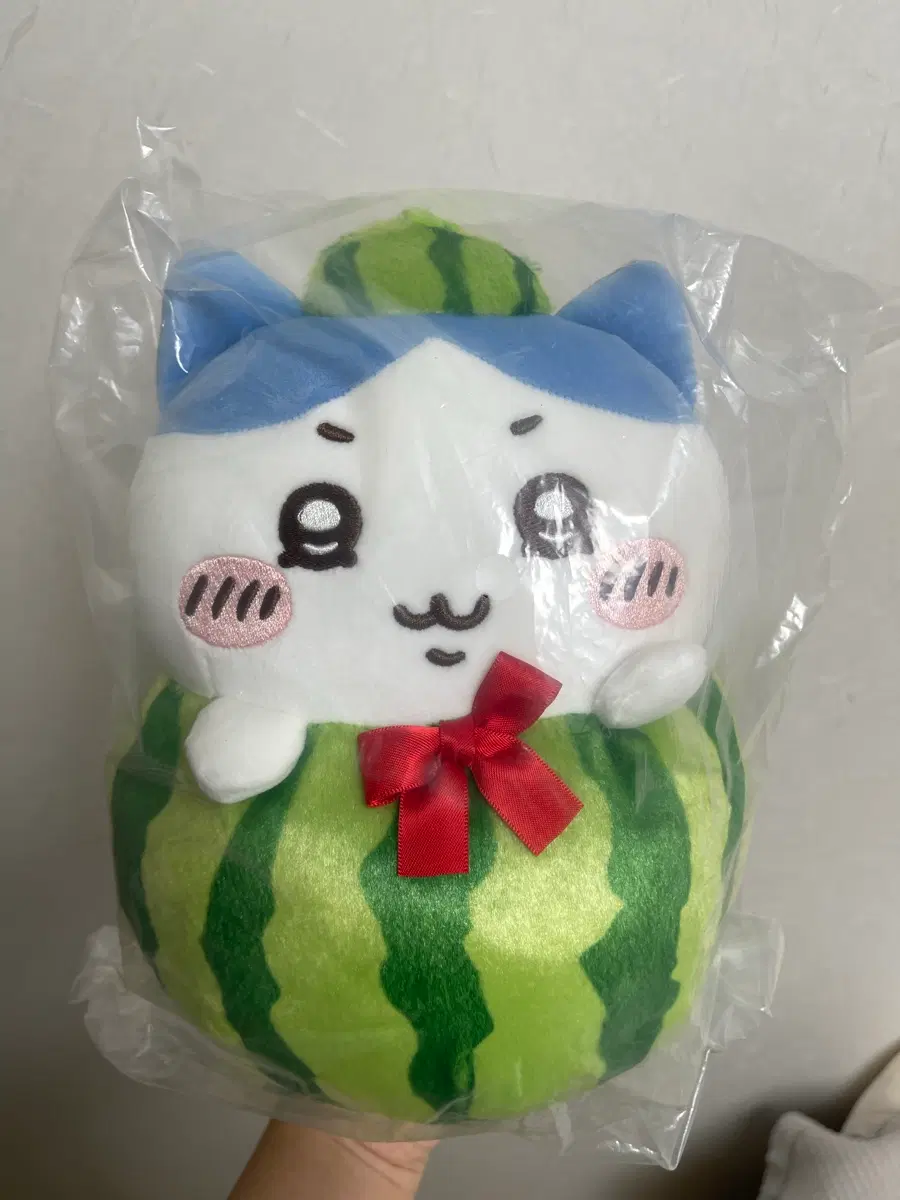 치이카와 미니소 하치와레 수박 누이
