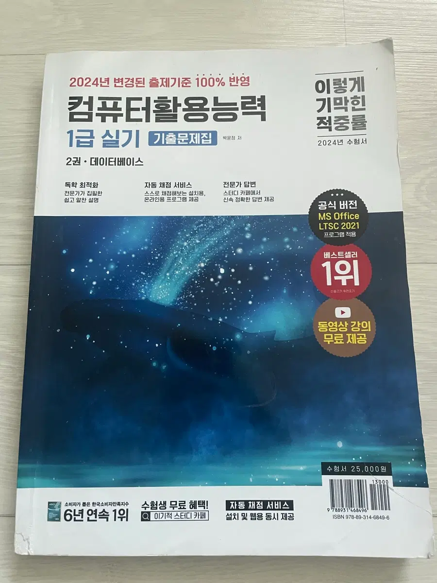 컴퓨터활용능력 1급 실기 기출문제집