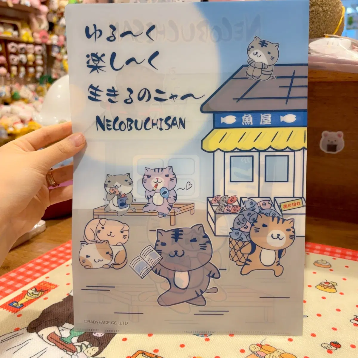 네코부치상 파일 홀더 냥이 일러스트 고전