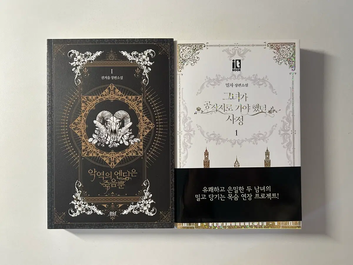 로판소설 일괄10,000원 악역의 엔딩은 죽음뿐, 그녀가 공작저로 가야 했던 사정