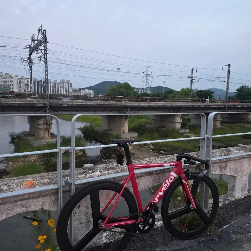 써벨로 t1