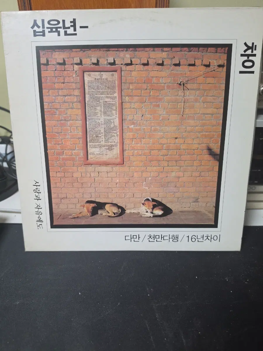 십육년차이 LP