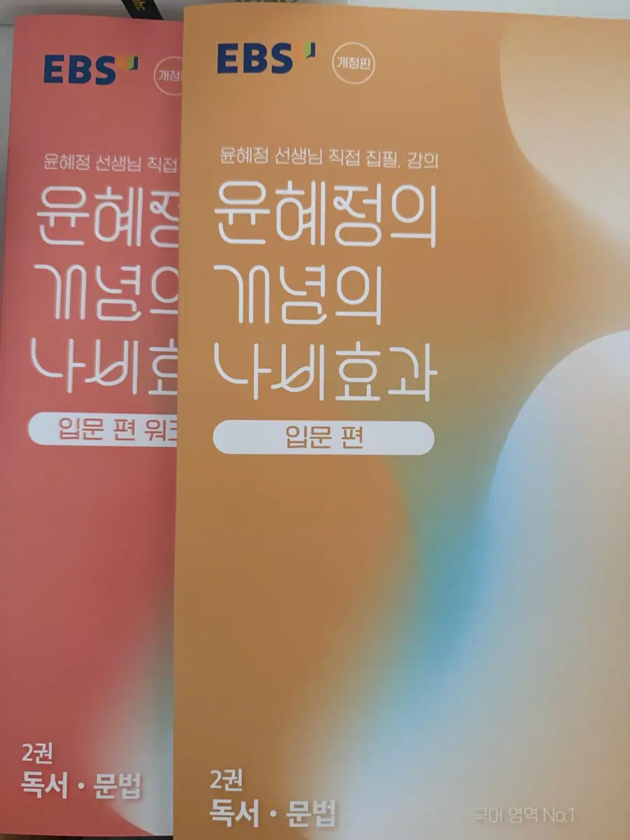EBS 윤혜정 개념의 나비효과 입문편과 워크북 독서,문법