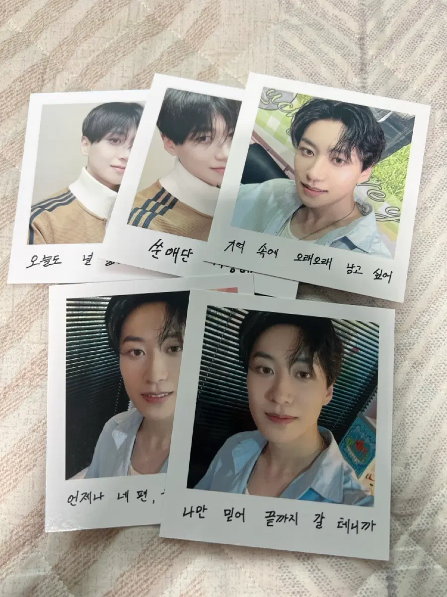 모디세이 쑨헝위 폴라로이드