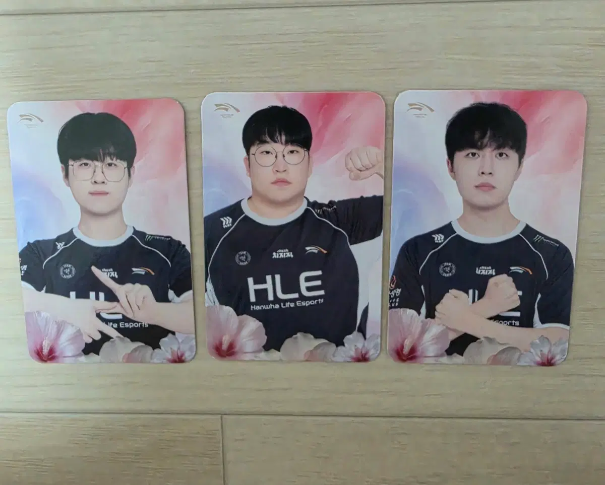 HLE(한화생명e스포츠) 광복절 기념 포카 일괄판매