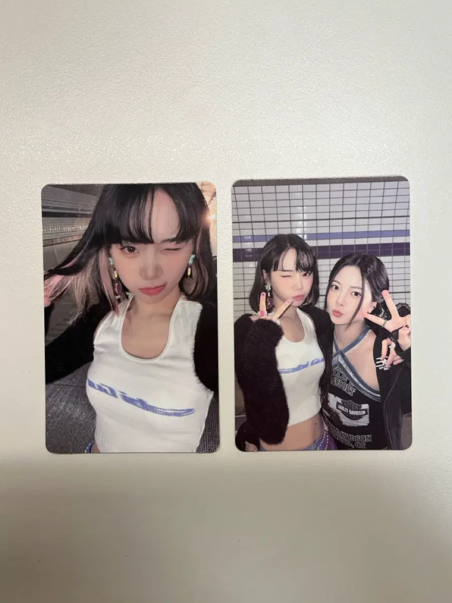 르세라핌 안티프레자 포카 일괄