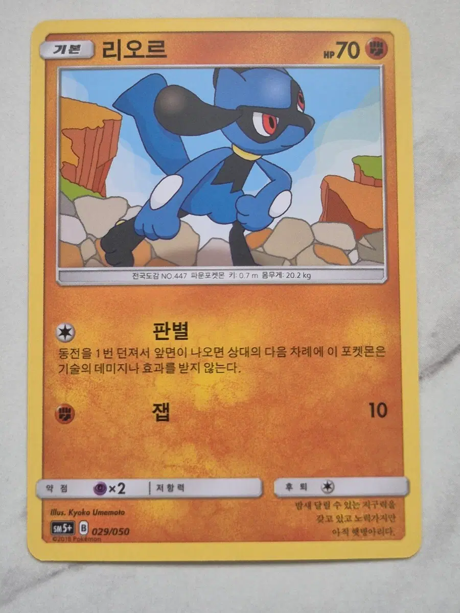 두. 포켓몬카드 리오르 sm5+