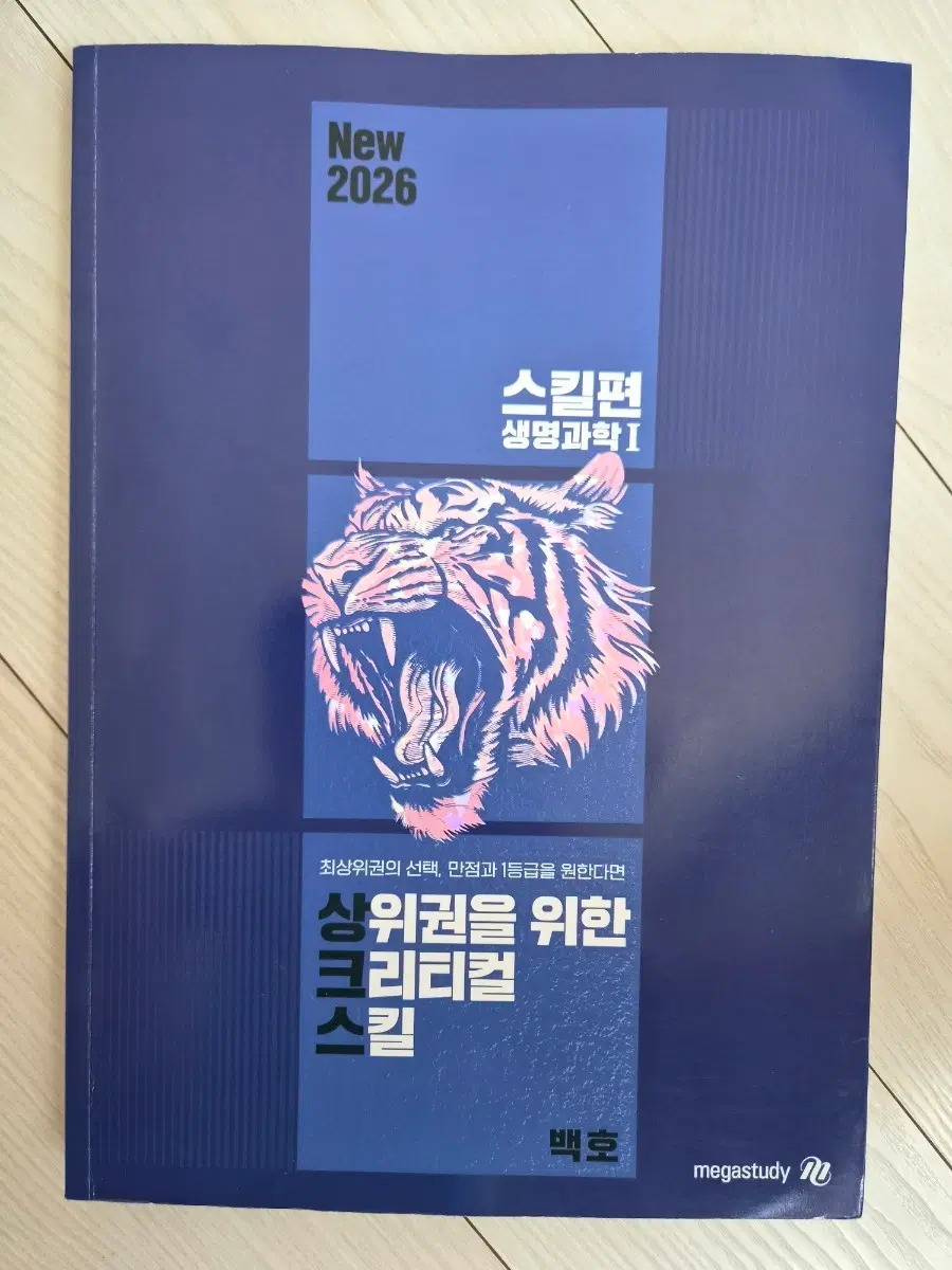 메가스터디 백호 상크스