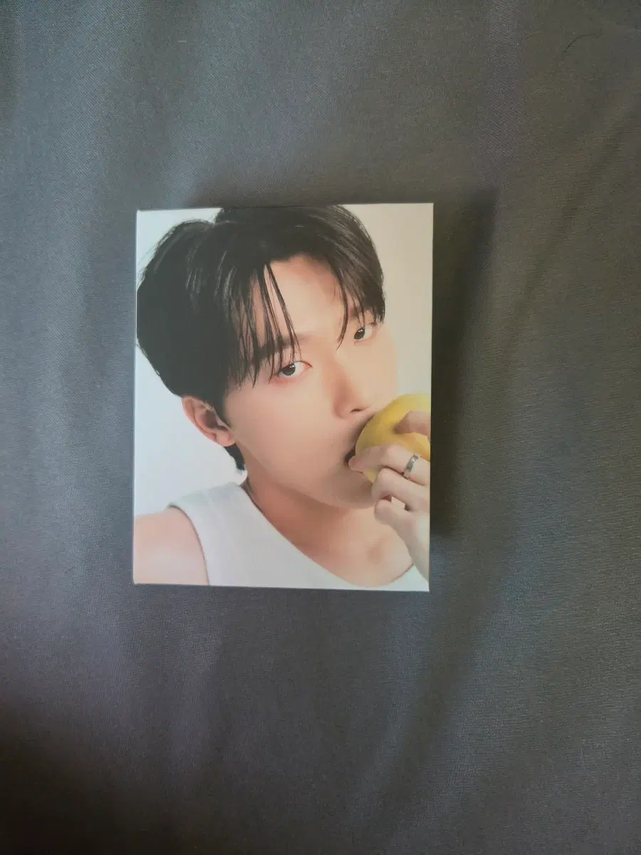 캐럿반 디노