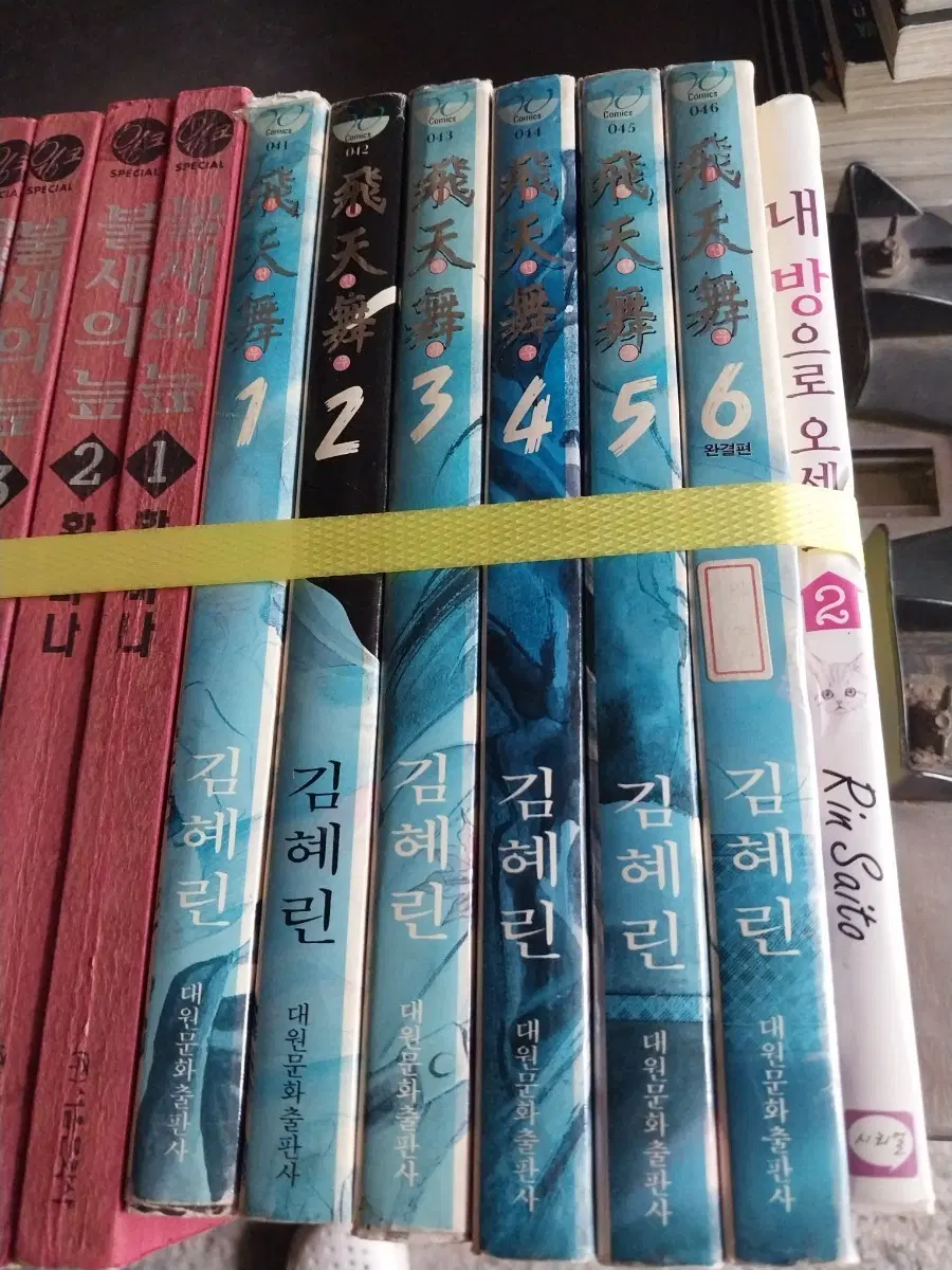 비천무1-6.실사확인.