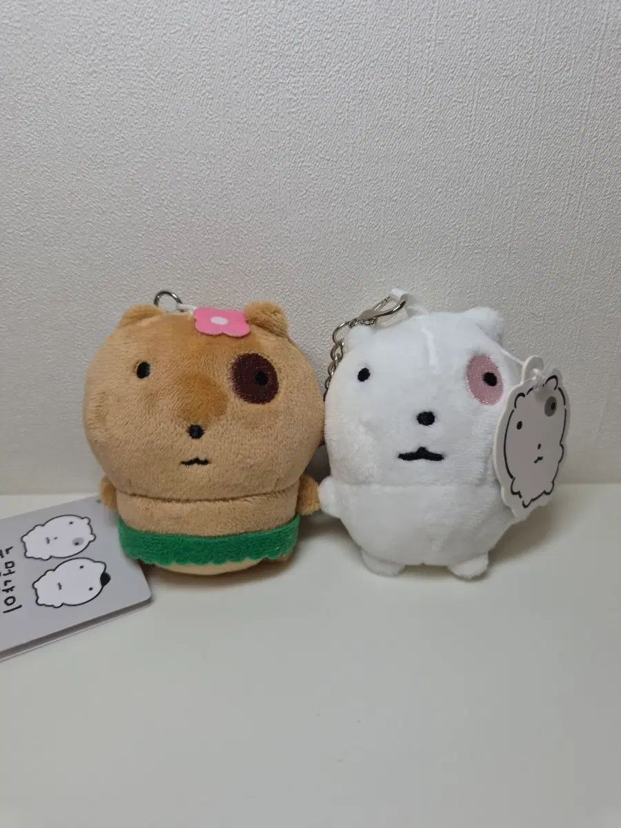 일괄 태닝 눈멍냥이 냥냥이 인형 키링 세트