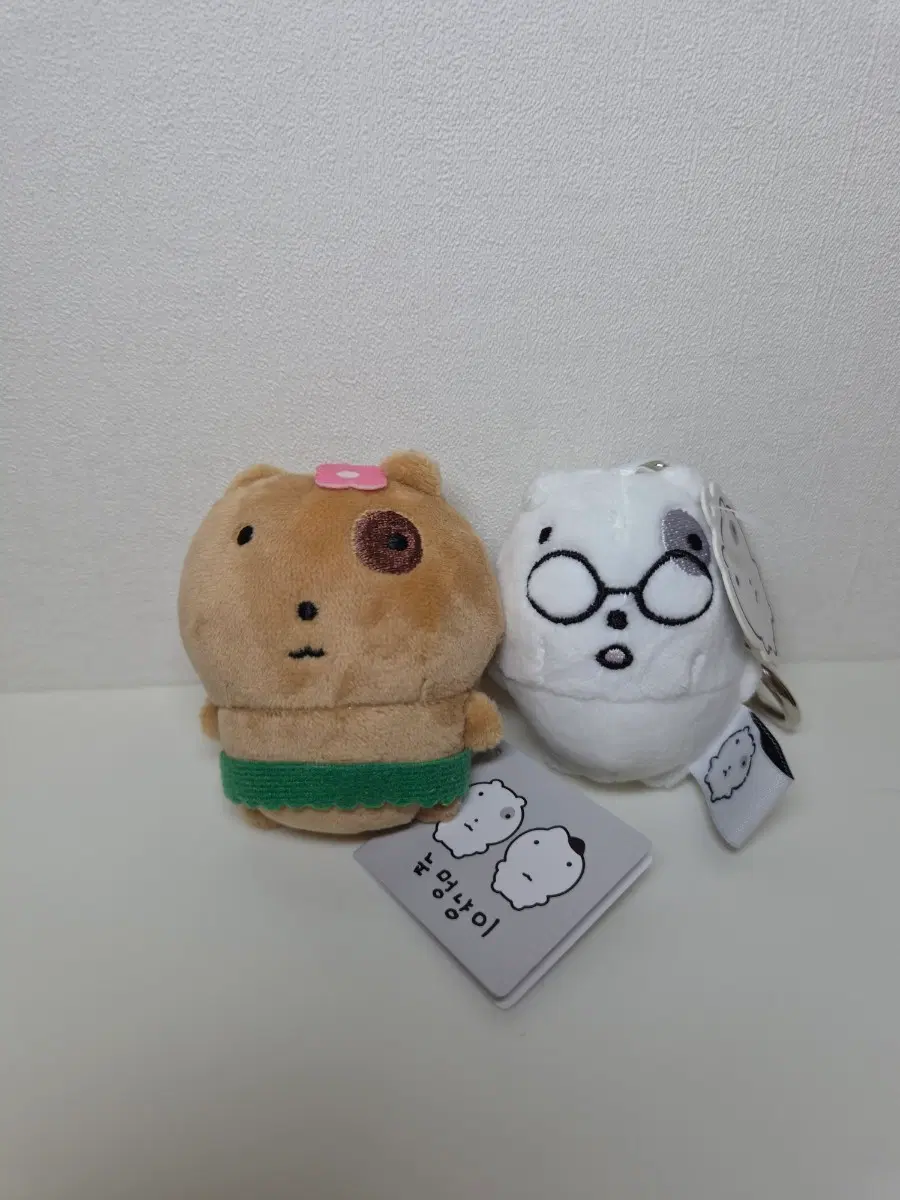 일괄 태닝눈멍냥이 안경쓴 냥냥이 인형 키링 세트