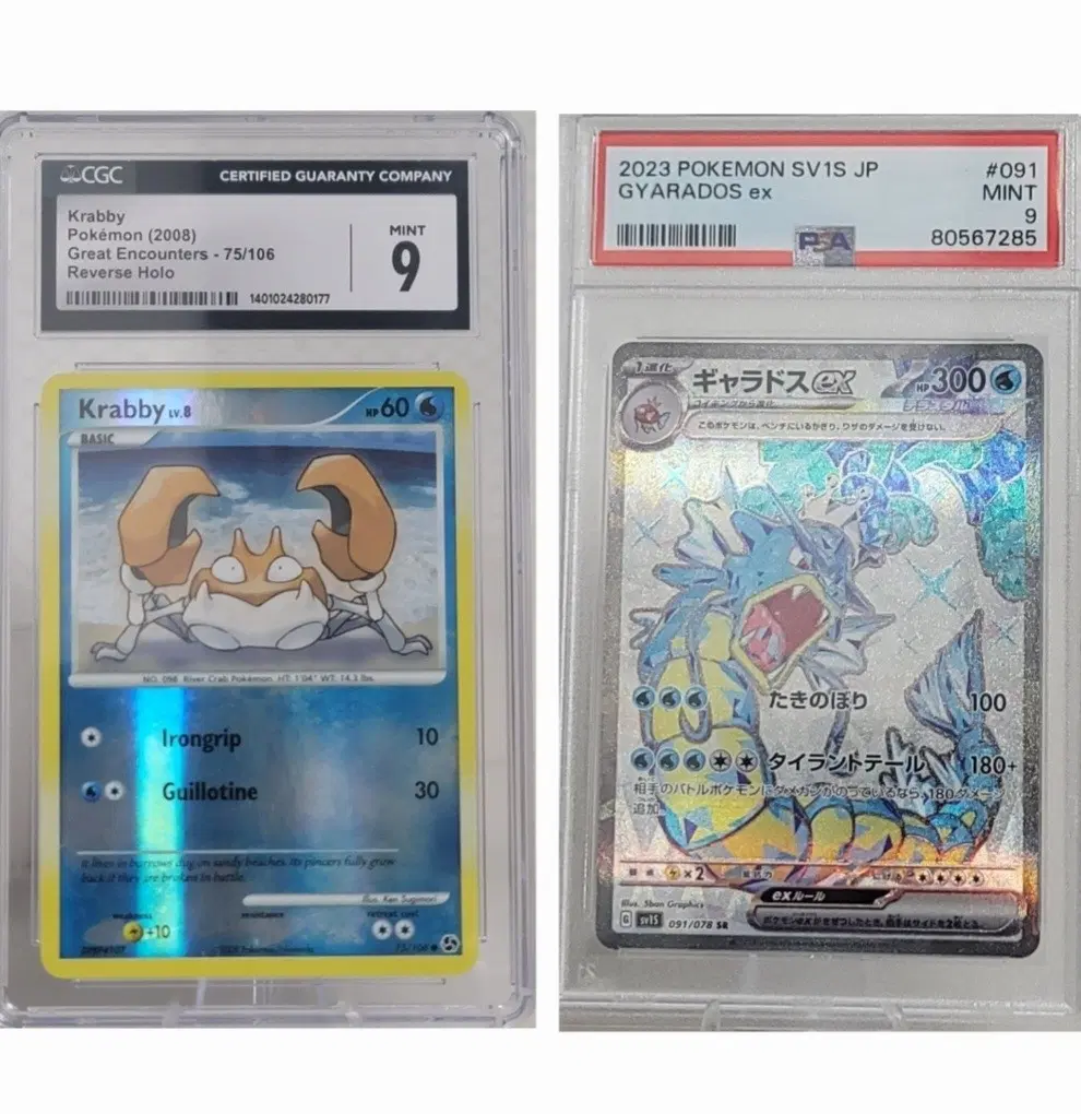 포켓몬 카드 2장 일괄 판매 / 2023 갸라도스 ex PSA 9 일본판 + 2008 크랩 CGC 9 리버스홀로 북미판