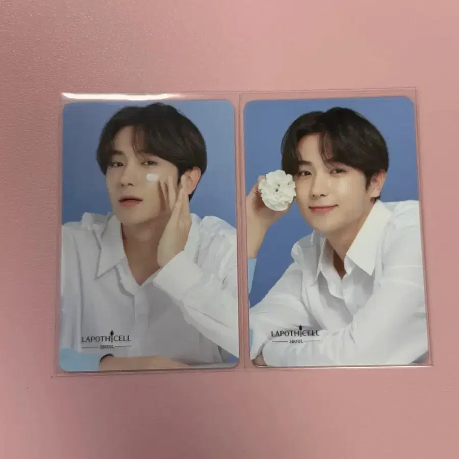 더보이즈 현재 라포티셀 포카