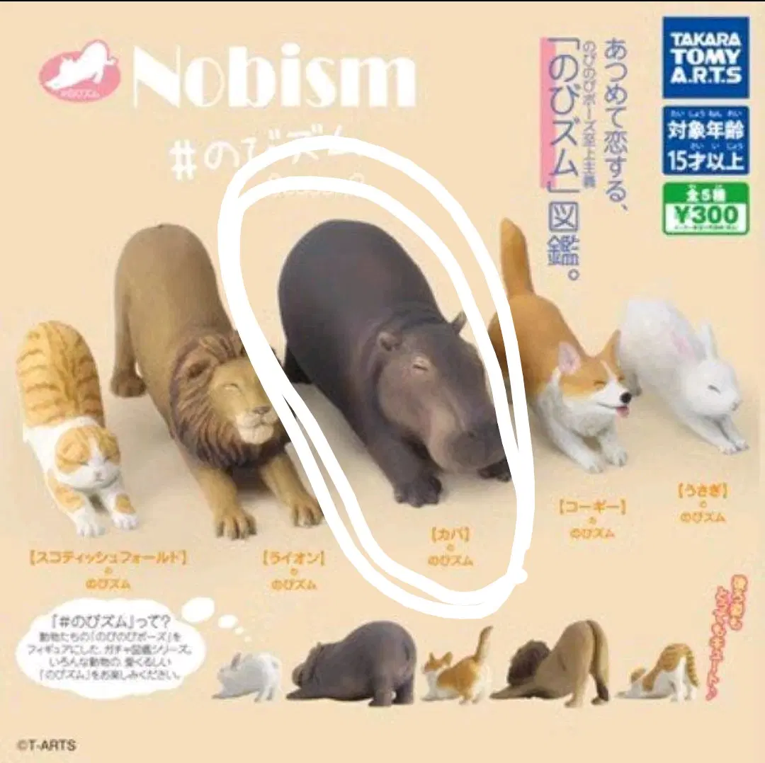 타카라토미아츠 노비즘 동물 기지개 가챠 하마