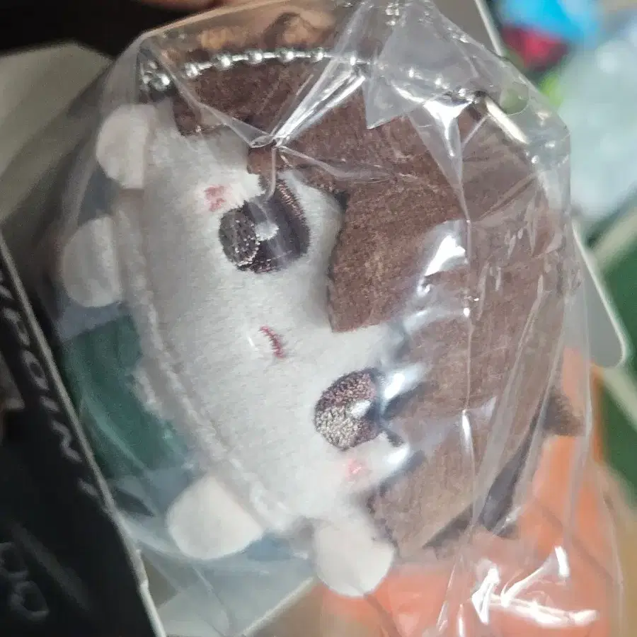 전독시 상하이 팝업 쯔무쯔무 이길영