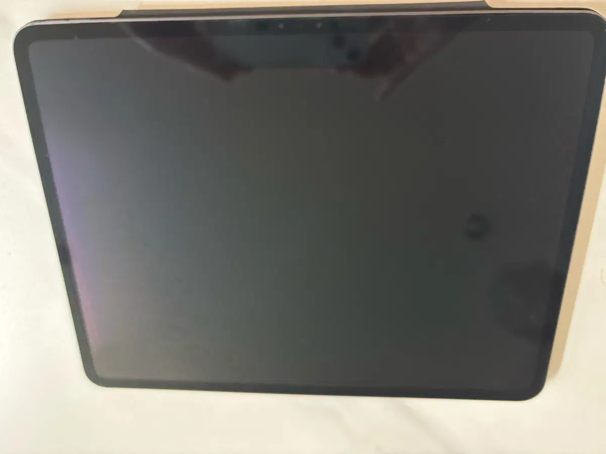 애플 아이패드 프로 13 m4 256GB