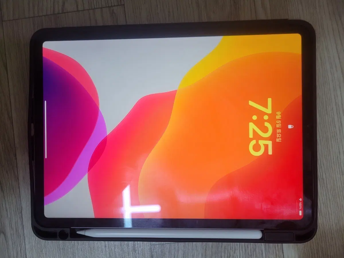 아이패드 프로 11 64GB
